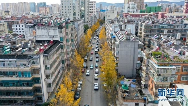 1310369796_16394425023721n