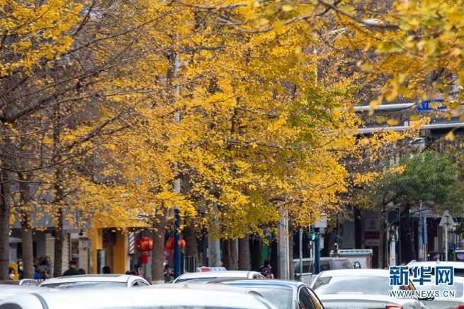 1310369796_16394425024251n