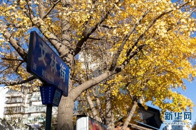 1310369796_16394425025381n