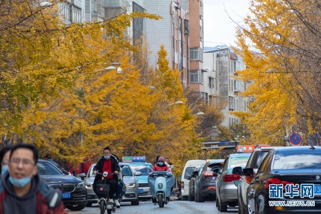 1310369796_16394425025981n