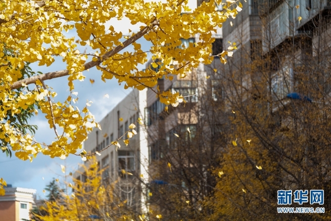 1310369796_16394425026561n