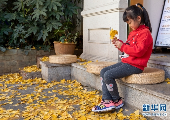 1310369796_16394425027131n