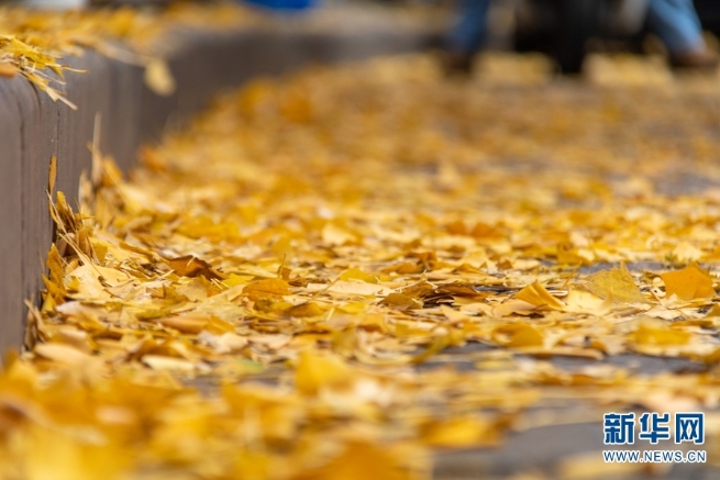 1310369796_16394425027721n