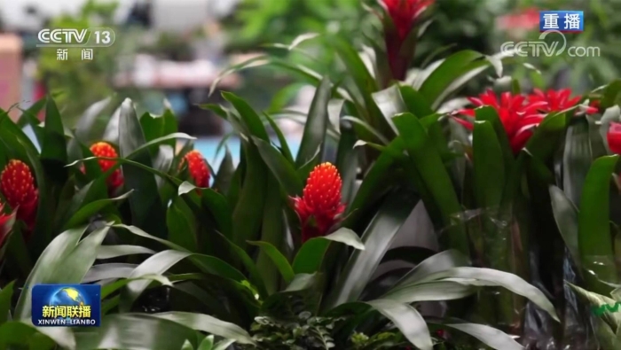 1287065_2048x2048 1287065_2048x2048