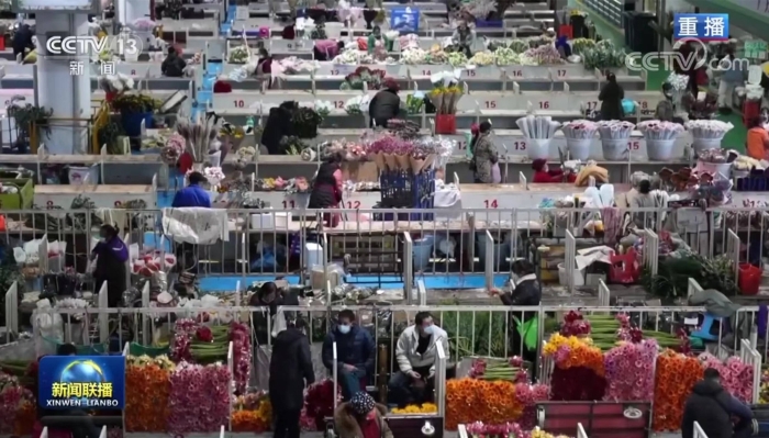 1287067_2048x2048 1287067_2048x2048