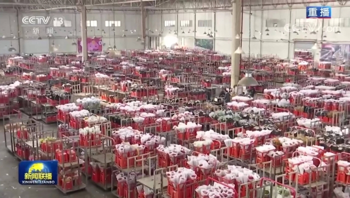 1287068_2048x2048 1287068_2048x2048