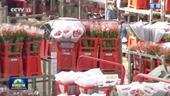 1287069_2048x2048 1287069_2048x2048