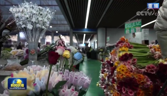 1287066_2048x2048 1287066_2048x2048