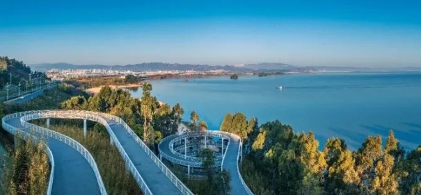 微信截图_20250416164353