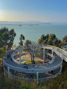微信截图_20250416164505