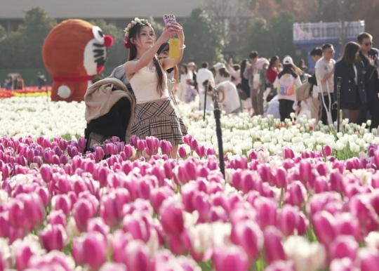 微信截图_20250416165504