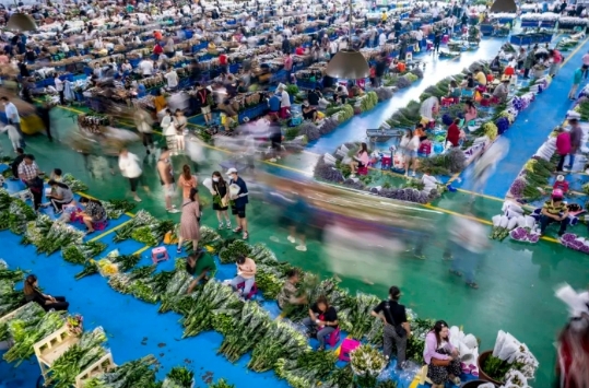 微信截图_20250416165521