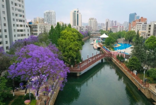微信截图_20250416165532