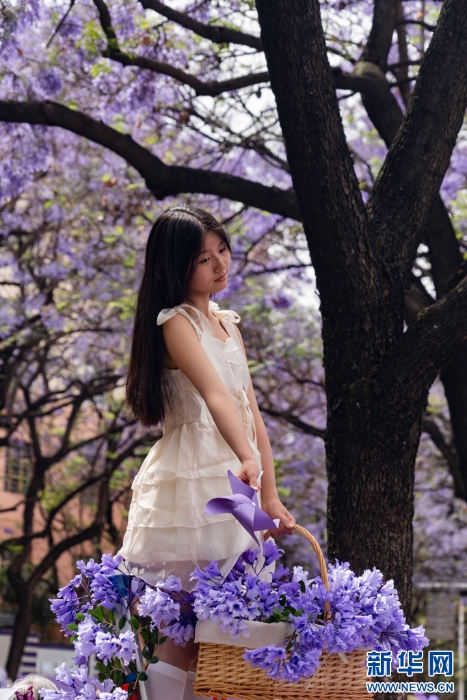 202505067ff9abaaa1bc4ce0ae01bcfee74d8e94_202505062d1d9d465d8e468c81342df223a05063