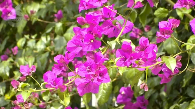 QQ20250519-171729