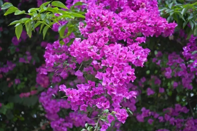 QQ20250519-171712
