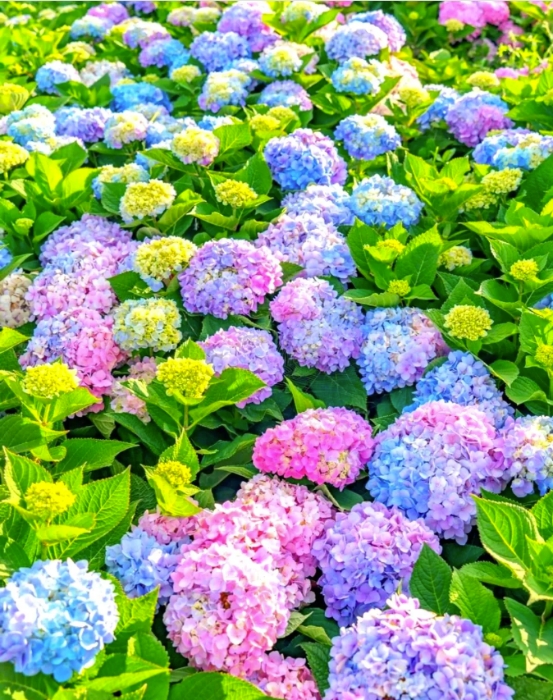 QQ20250519-173106