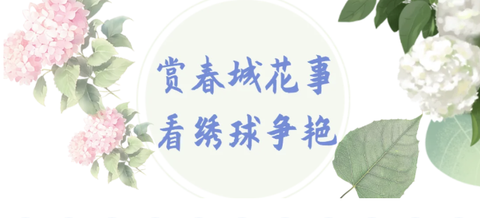 QQ20250519-172920