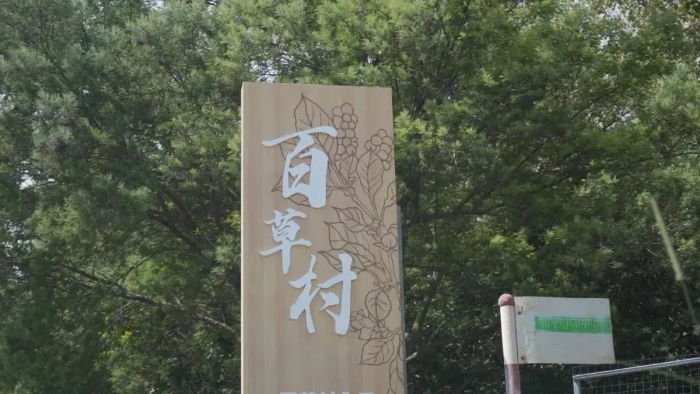 图片 7