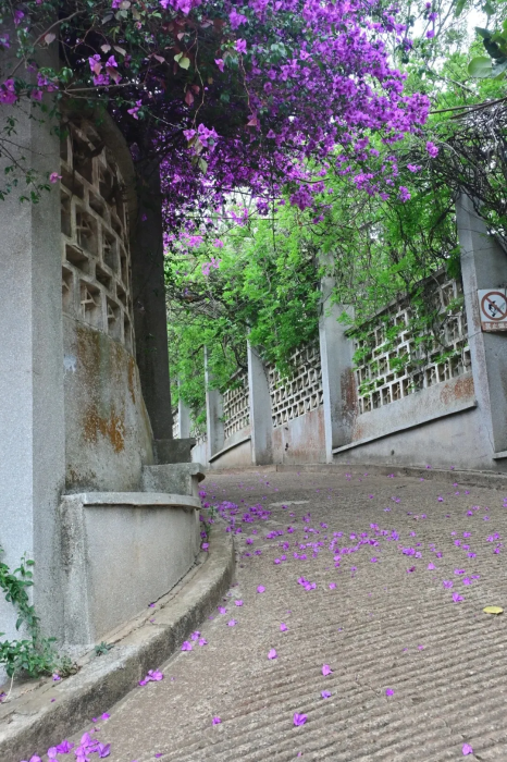图片 8
