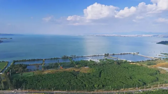 图片 11