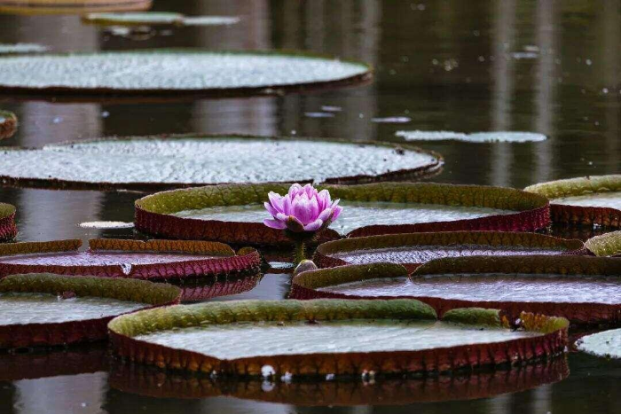 图片 5