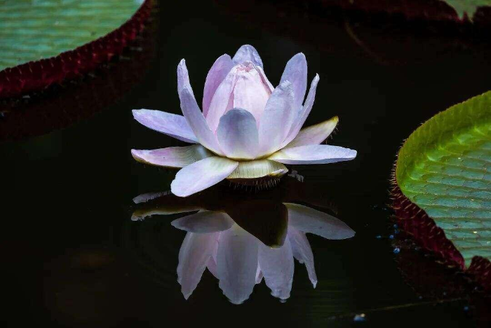 图片 4