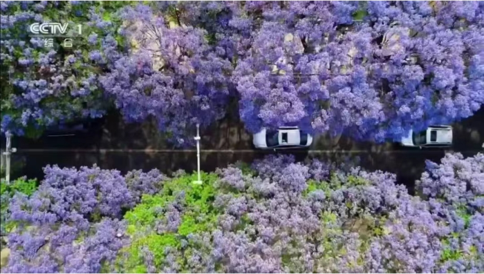 微信截图_20250727072311