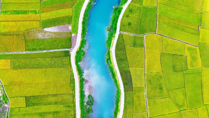 2025090526d4c1f9798c4736a298b25640506cba_731dec9343f84f8e9ba9c0392bb8387c