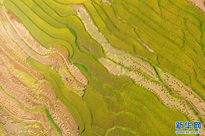 202509275324951451814ecf896871cd52bd7521_20250927c70193fbd4f542a7856bea2f989b2ca7