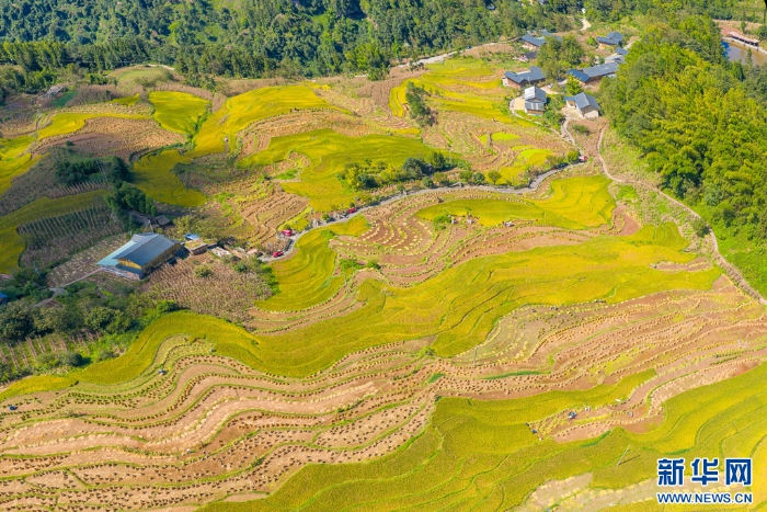 202509275324951451814ecf896871cd52bd7521_20250927faacd3d7452c46e68898d4683328ec53