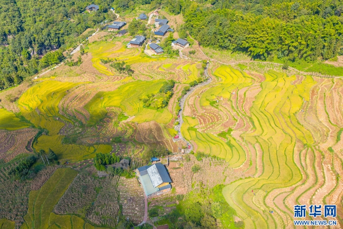 202509275324951451814ecf896871cd52bd7521_202509272bba9580a6544dc1be0271bf97ef131e