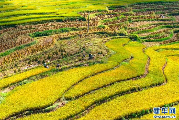 202509275324951451814ecf896871cd52bd7521_2025092788dc62e214ee48af9023a643ff60f4d9