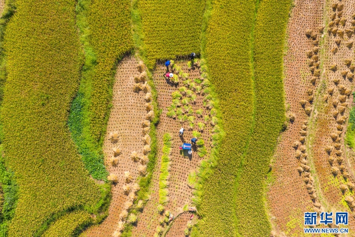 202509275324951451814ecf896871cd52bd7521_202509273808c746531f49a382ee7981f184f1c7