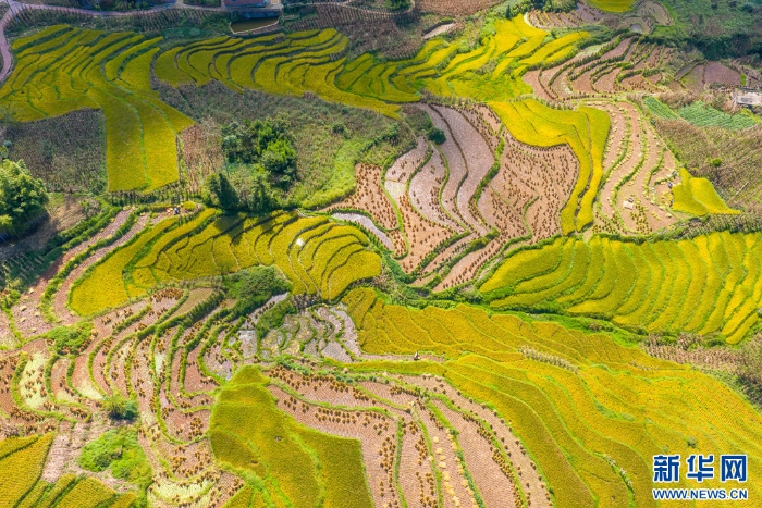 202509275324951451814ecf896871cd52bd7521_20250927ad7c7ca36d784843976f028a09ba5027