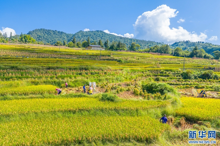 202509275324951451814ecf896871cd52bd7521_202509271a3cc20f5a0a475f8fa96e2e086ea103