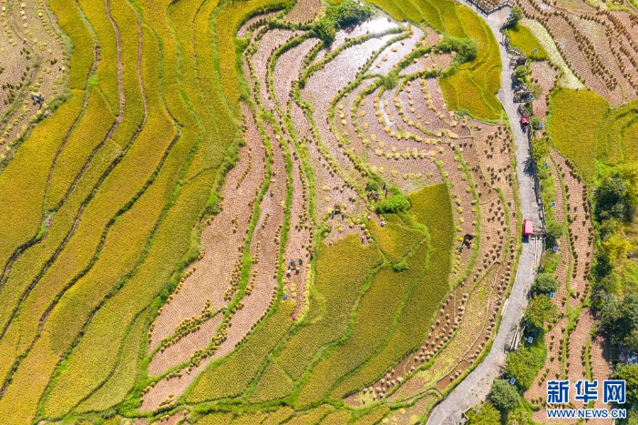 202509275324951451814ecf896871cd52bd7521_20250927980ba26470394b9eae0ecf30a40f8b49