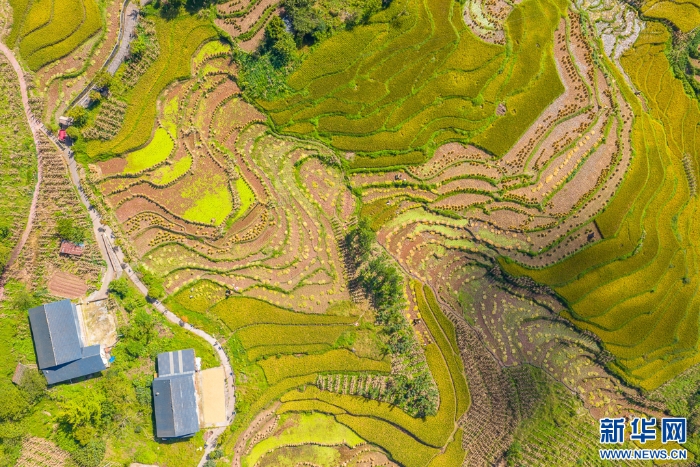 202509275324951451814ecf896871cd52bd7521_20250927605970da0146445c84201a79798cc0e0