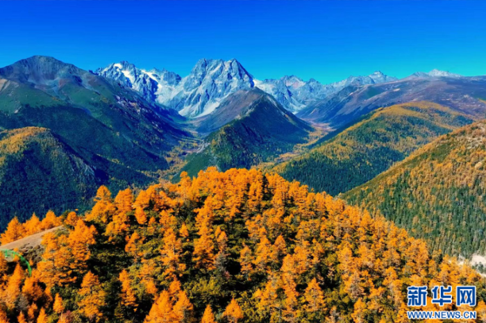 ScreenShot_2025-11-11_155459_897