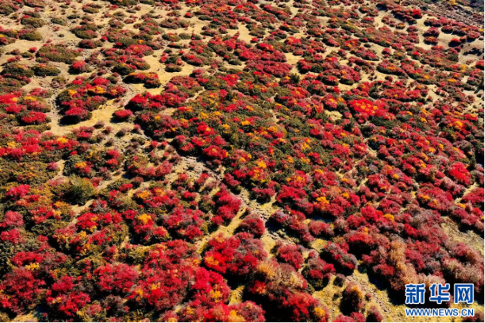 ScreenShot_2025-11-11_155510_885