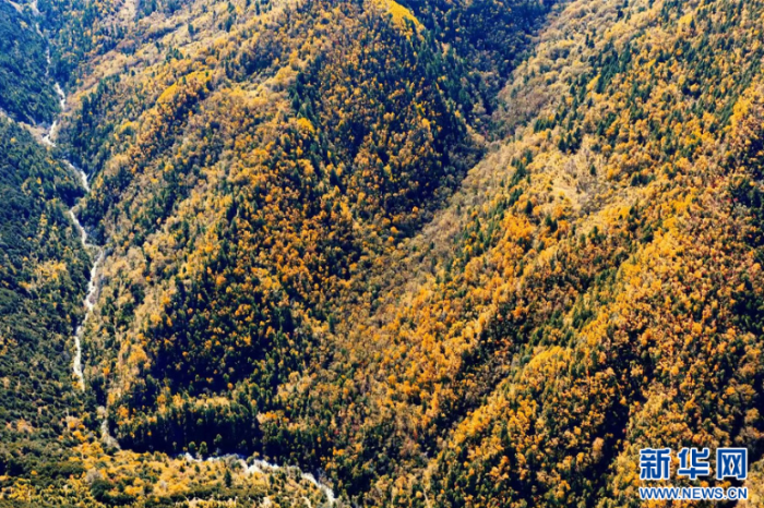 ScreenShot_2025-11-11_155520_007