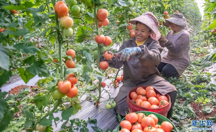 20251111caf8e6dc13054249bb41be9c9a7ae72c_202511112394885f56064aeb8b7cb5435833d935 20251111caf8e6dc13054249bb41be9c9a7ae72c_202511112394885f56064aeb8b7cb5435833d935