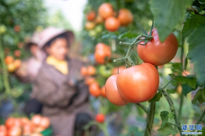 20251111caf8e6dc13054249bb41be9c9a7ae72c_20251111229431f32f27454c8f194a1e993c95a9 20251111caf8e6dc13054249bb41be9c9a7ae72c_20251111229431f32f27454c8f194a1e993c95a9