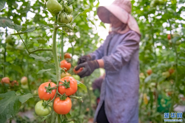 20251111caf8e6dc13054249bb41be9c9a7ae72c_20251111df65b4da928b4800ad23914c500db7aa 20251111caf8e6dc13054249bb41be9c9a7ae72c_20251111df65b4da928b4800ad23914c500db7aa