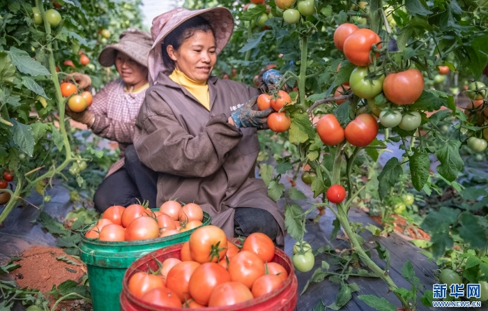 20251111caf8e6dc13054249bb41be9c9a7ae72c_20251111cc95e827e2534d6d8dbab05d3242016e 20251111caf8e6dc13054249bb41be9c9a7ae72c_20251111cc95e827e2534d6d8dbab05d3242016e