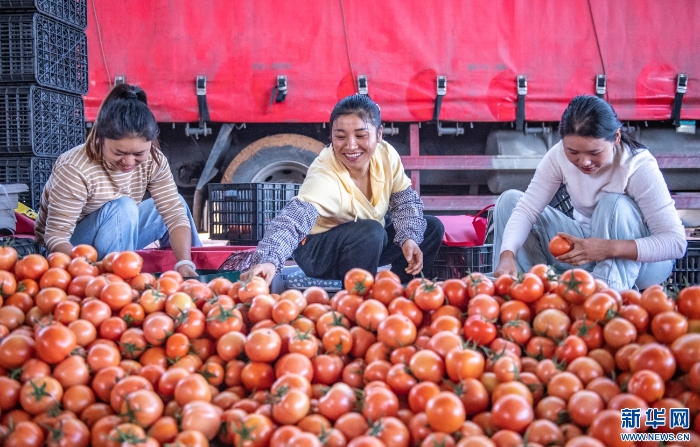 20251111caf8e6dc13054249bb41be9c9a7ae72c_20251111ba58f845ebac4fc2a646b0cba981cb24 20251111caf8e6dc13054249bb41be9c9a7ae72c_20251111ba58f845ebac4fc2a646b0cba981cb24