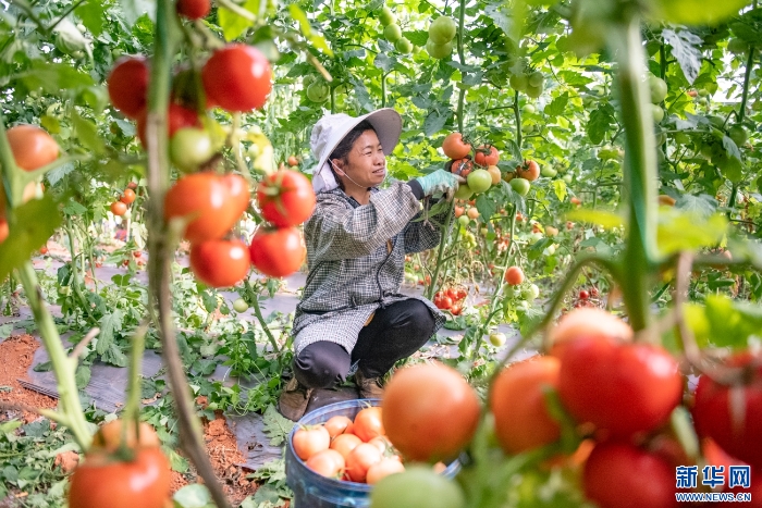 20251111caf8e6dc13054249bb41be9c9a7ae72c_20251111e530c68a3e524d249271b3ba5256ccd7 20251111caf8e6dc13054249bb41be9c9a7ae72c_20251111e530c68a3e524d249271b3ba5256ccd7