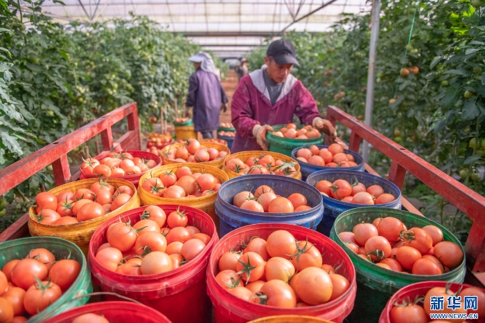 20251111caf8e6dc13054249bb41be9c9a7ae72c_20251111c1ae94724dad47b1bebb5f5b2683e6fb 20251111caf8e6dc13054249bb41be9c9a7ae72c_20251111c1ae94724dad47b1bebb5f5b2683e6fb