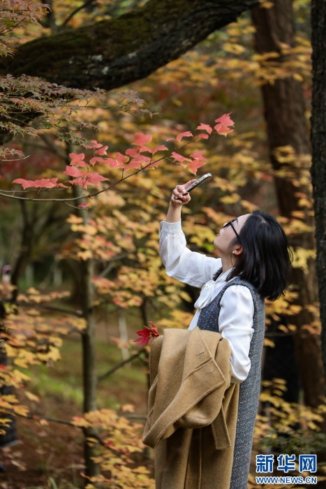 2025110573556e966df74b16b5667011ce9bf46d_20251105af64e01e2d0d482393f163076c798671