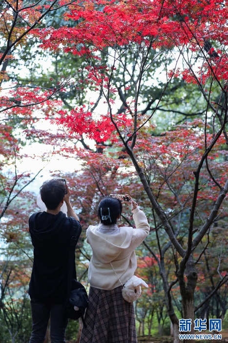 2025110573556e966df74b16b5667011ce9bf46d_20251105e0a6899a2c244032996c847db7df6175